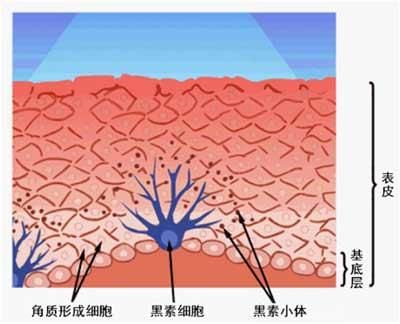 白癜风怎么样治疗能好?